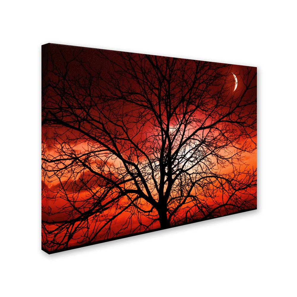 Philippe Sainte-Laudy Big Bad Moon Canvas Art 16 x 24 Image 2