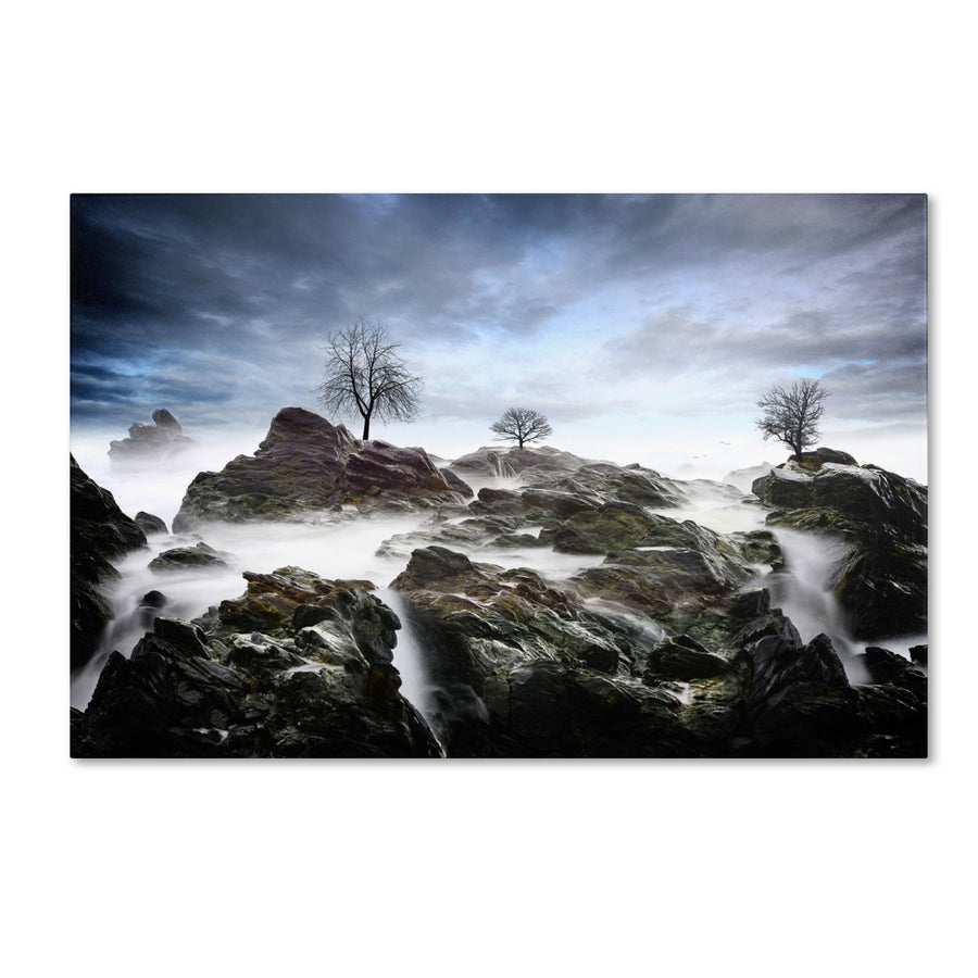 Philippe Sainte-Laudy And Then.. Canvas Art 16 x 24 Image 1