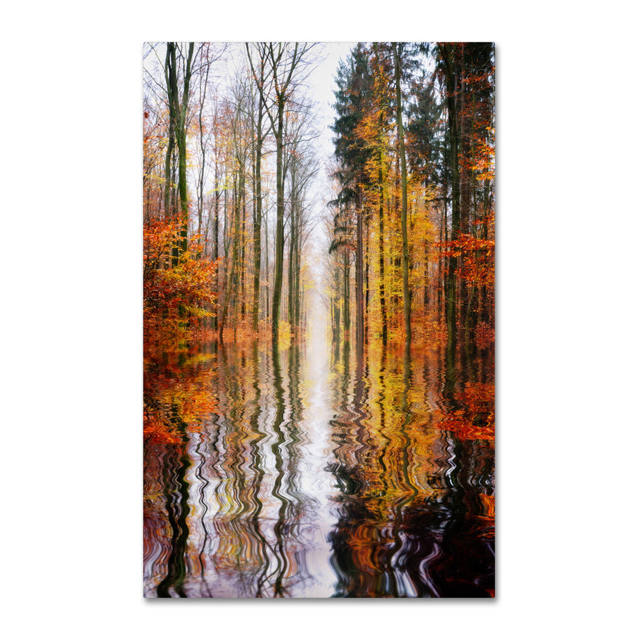 Philippe Sainte-Laudy Higher Ground Canvas Art 16 x 24 Image 1