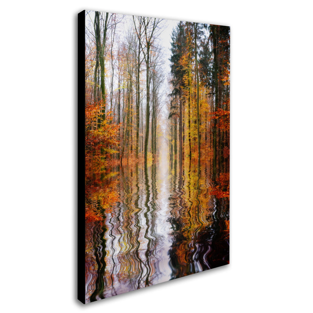 Philippe Sainte-Laudy Higher Ground Canvas Art 16 x 24 Image 2