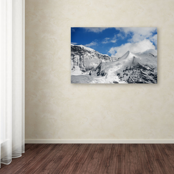 Philippe Sainte-Laudy Ethereal Canvas Art 16 x 24 Image 3