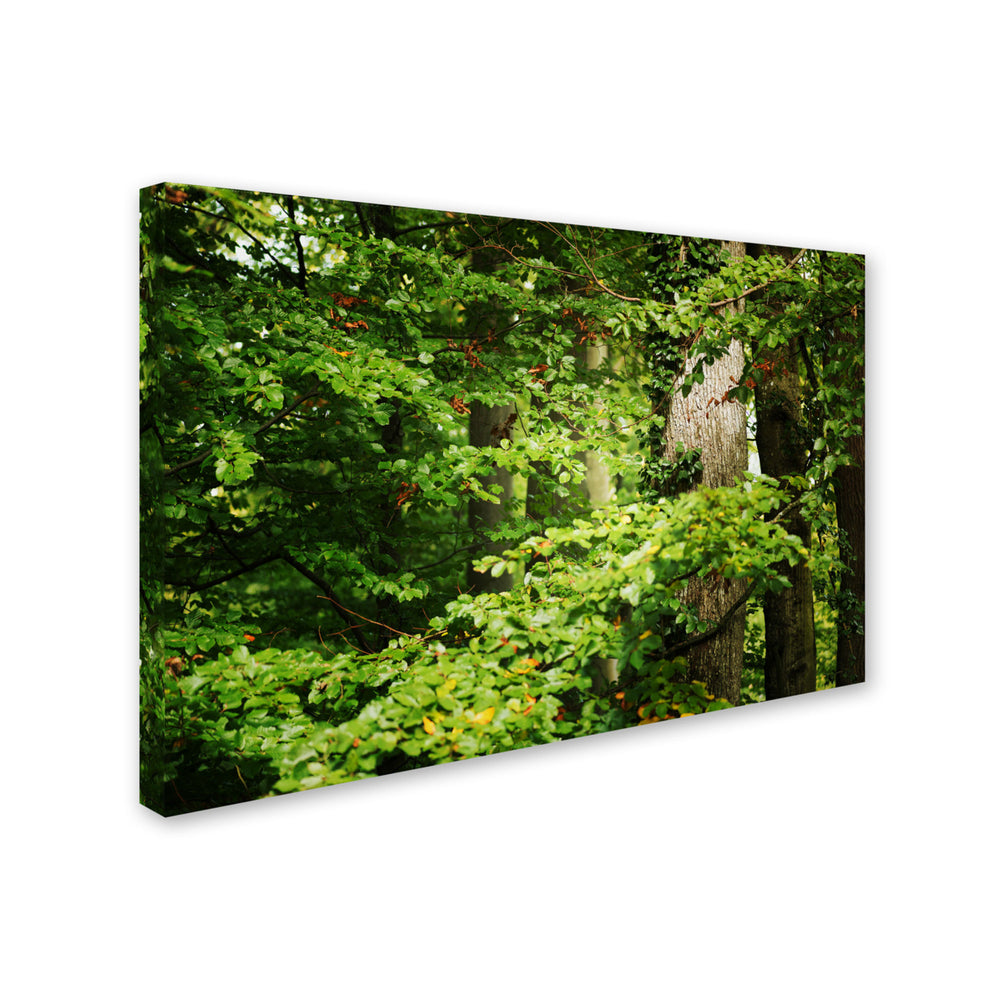 Philippe Sainte-Laudy Go Green Canvas Art 16 x 24 Image 2