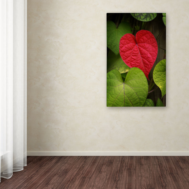 Philippe Sainte-Laudy Heart to Take Canvas Art 16 x 24 Image 3