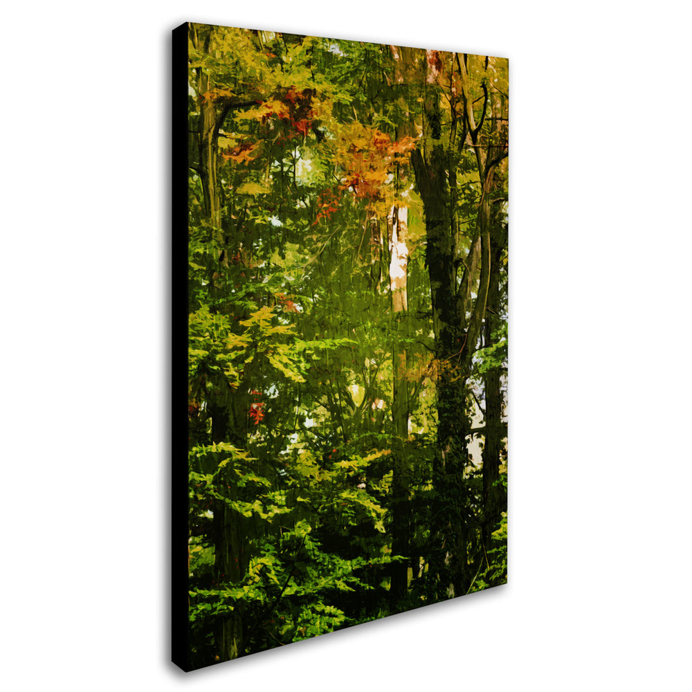 Philippe Sainte-Laudy Last Season Green Canvas Art 16 x 24 Image 2