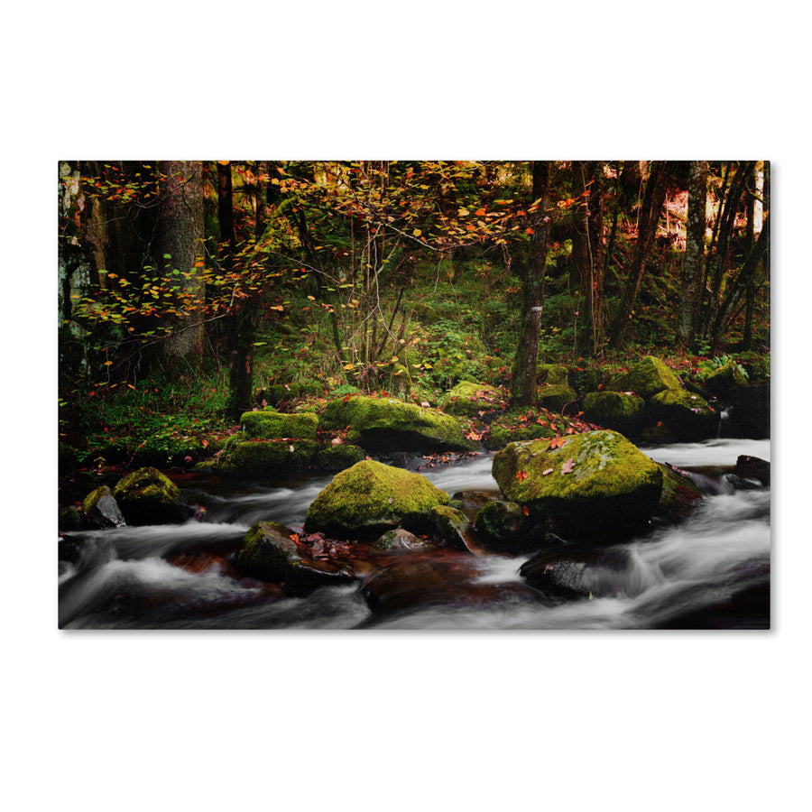 Philippe Sainte-Laudy Eaux Vives in Gerardmer Canvas Art 16 x 24 Image 1