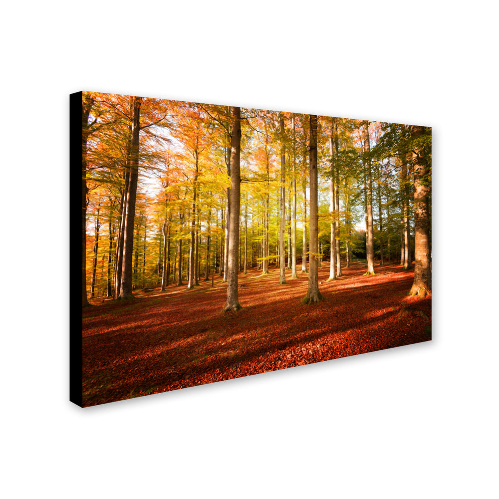 Philippe Sainte-Laudy Rhythm Canvas Art 16 x 24 Image 2