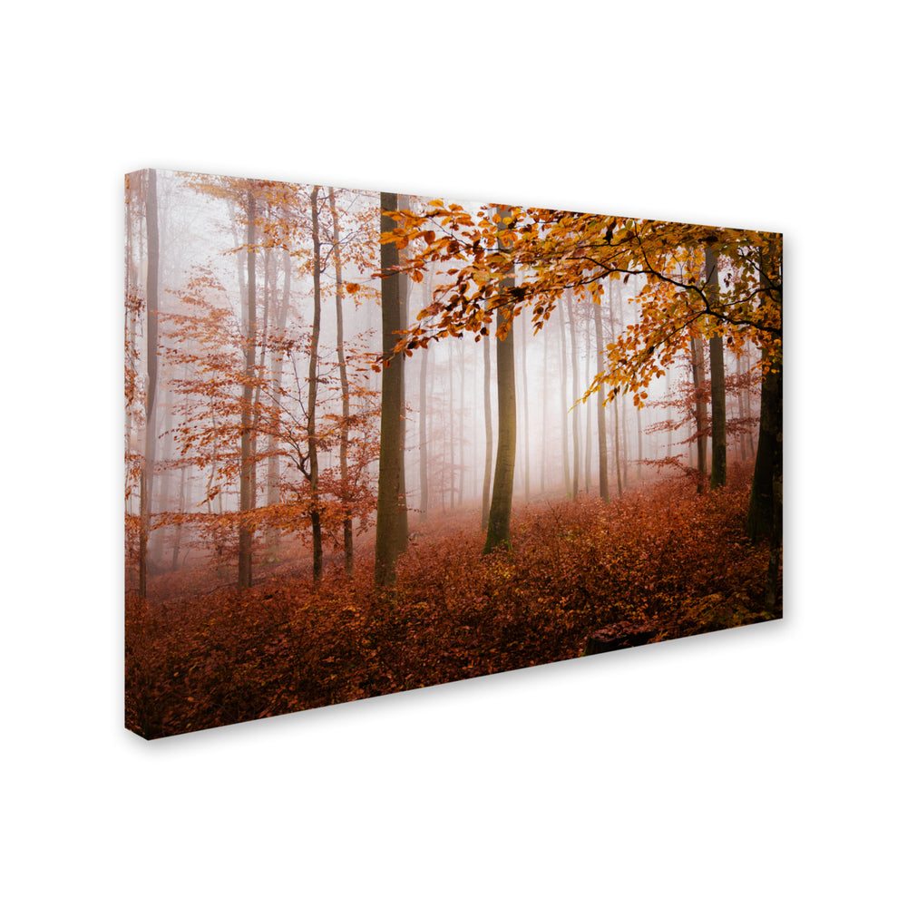 Philippe Sainte-Laudy Breathe Me Canvas Art 16 x 24 Image 2