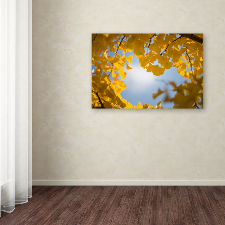 Philippe Sainte-Laudy Ginkgo Leaves in Autumn Canvas Art 16 x 24 Image 3