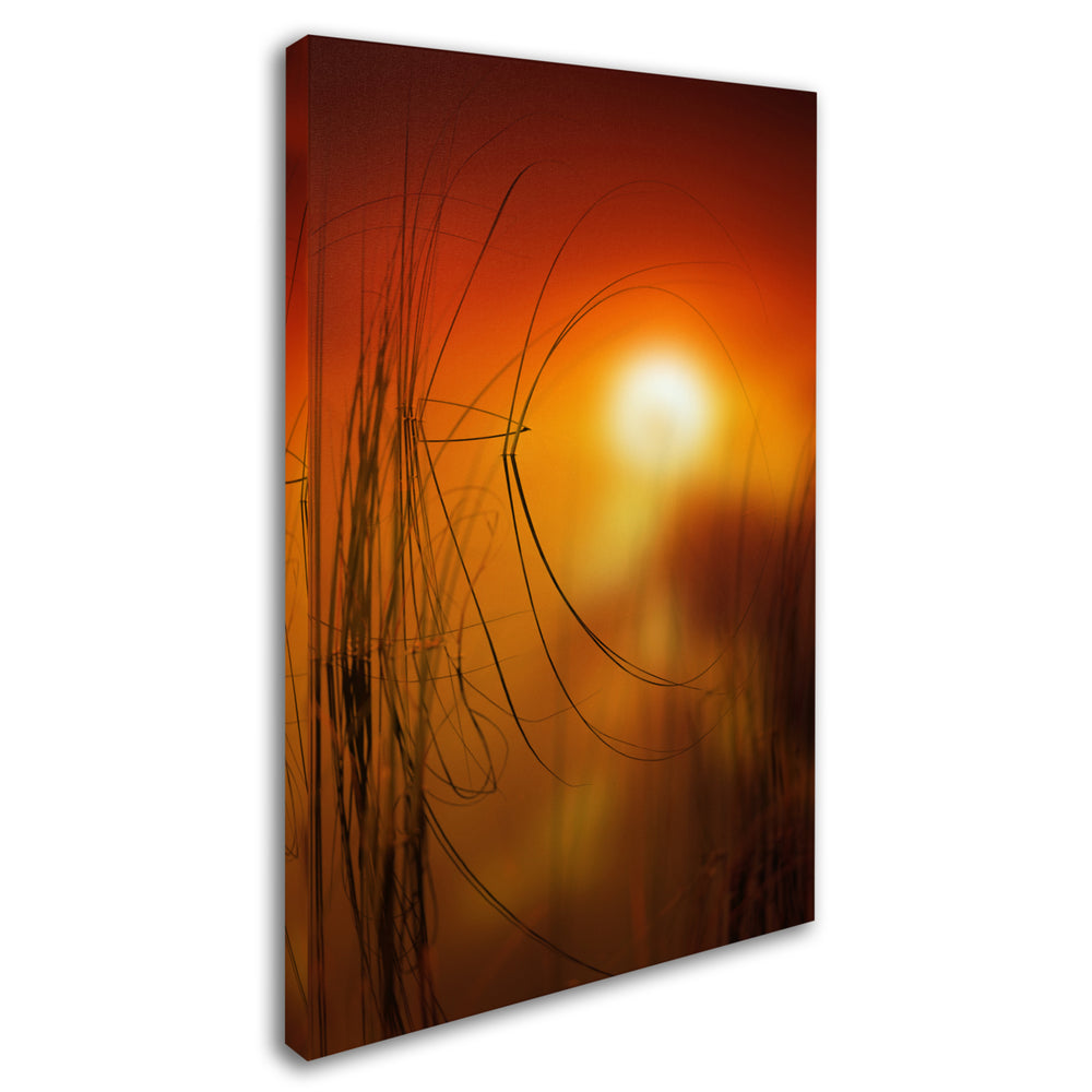 Philippe Sainte-Laudy Nature Time Machine Canvas Art 16 x 24 Image 2