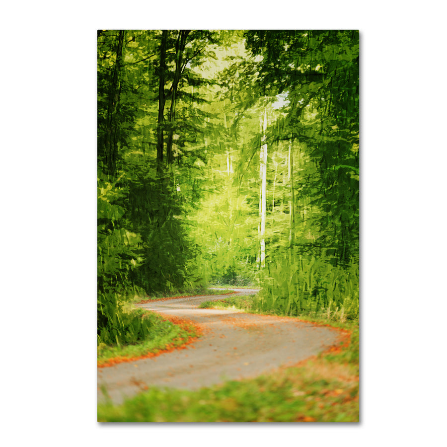 Philippe Sainte-Laudy S Road Canvas Art 16 x 24 Image 1