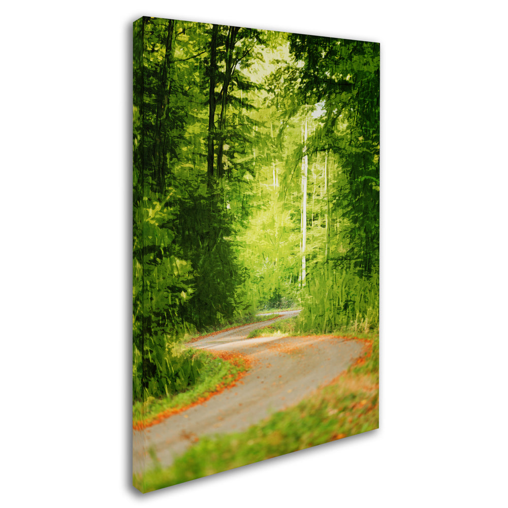 Philippe Sainte-Laudy S Road Canvas Art 16 x 24 Image 2