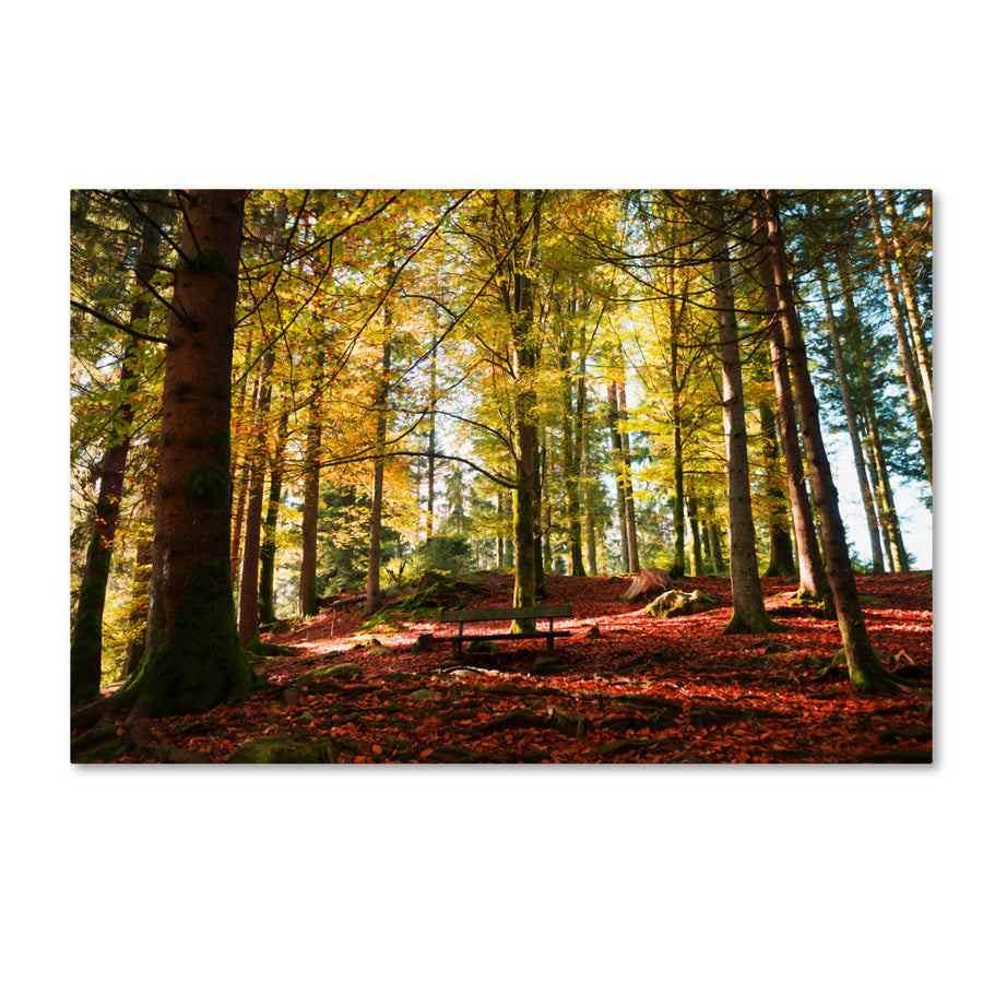 Philippe Sainte-Laudy The Autumn Bench Canvas Art 16 x 24 Image 1