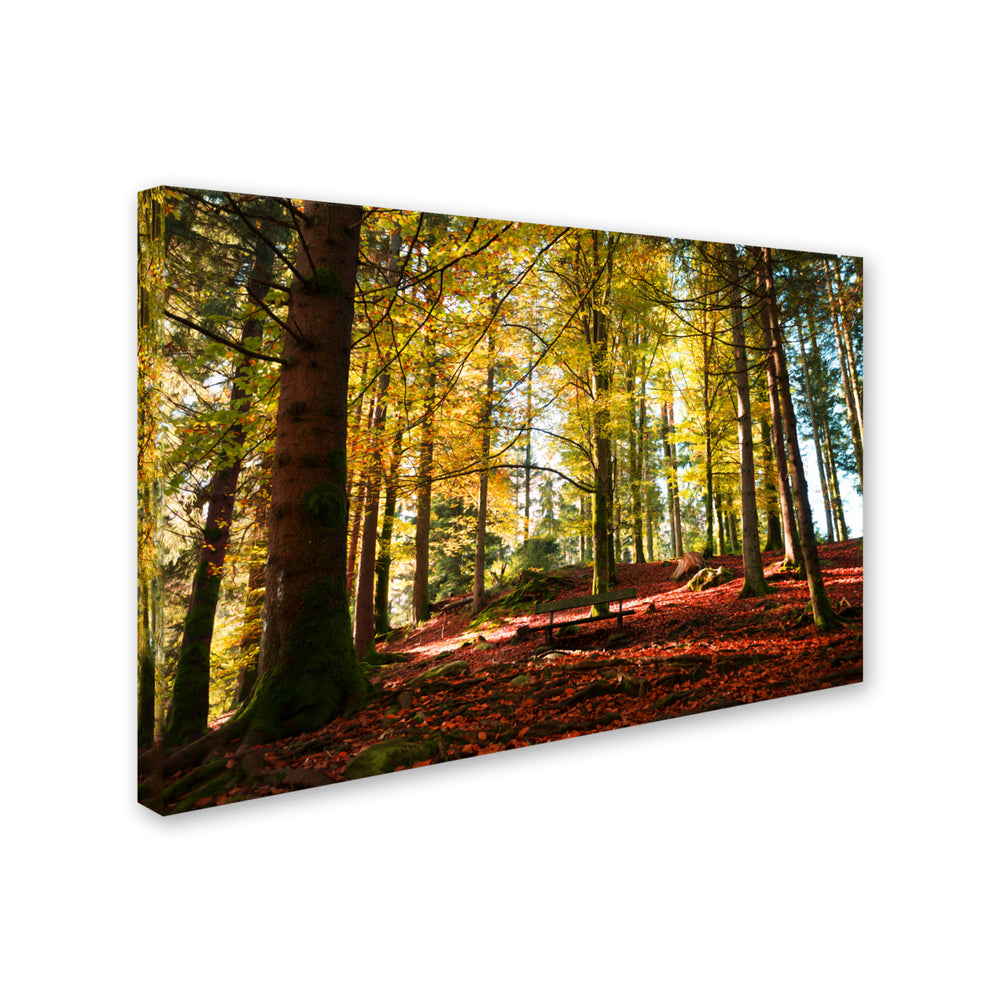 Philippe Sainte-Laudy The Autumn Bench Canvas Art 16 x 24 Image 2