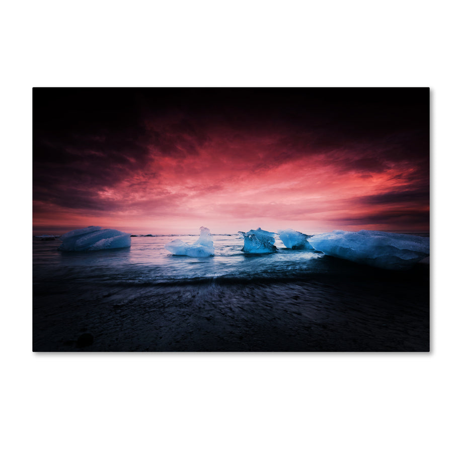 Philippe Sainte-Laudy Apocalyptic Beauty Canvas Art 16 x 24 Image 1