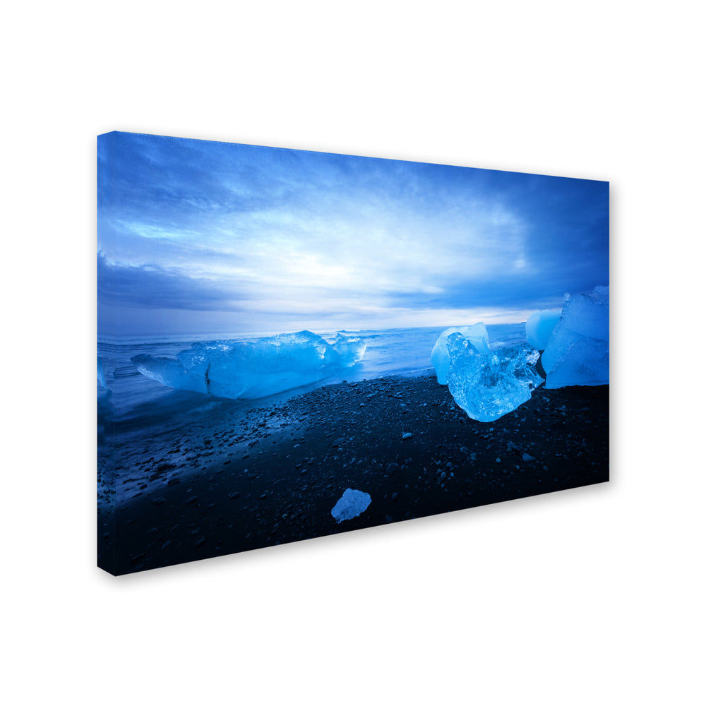 Philippe Sainte-Laudy Big Blue Canvas Art 16 x 24 Image 2