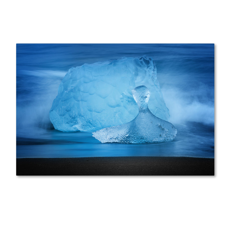 Philippe Sainte-Laudy Blue Jewel Canvas Art 16 x 24 Image 1