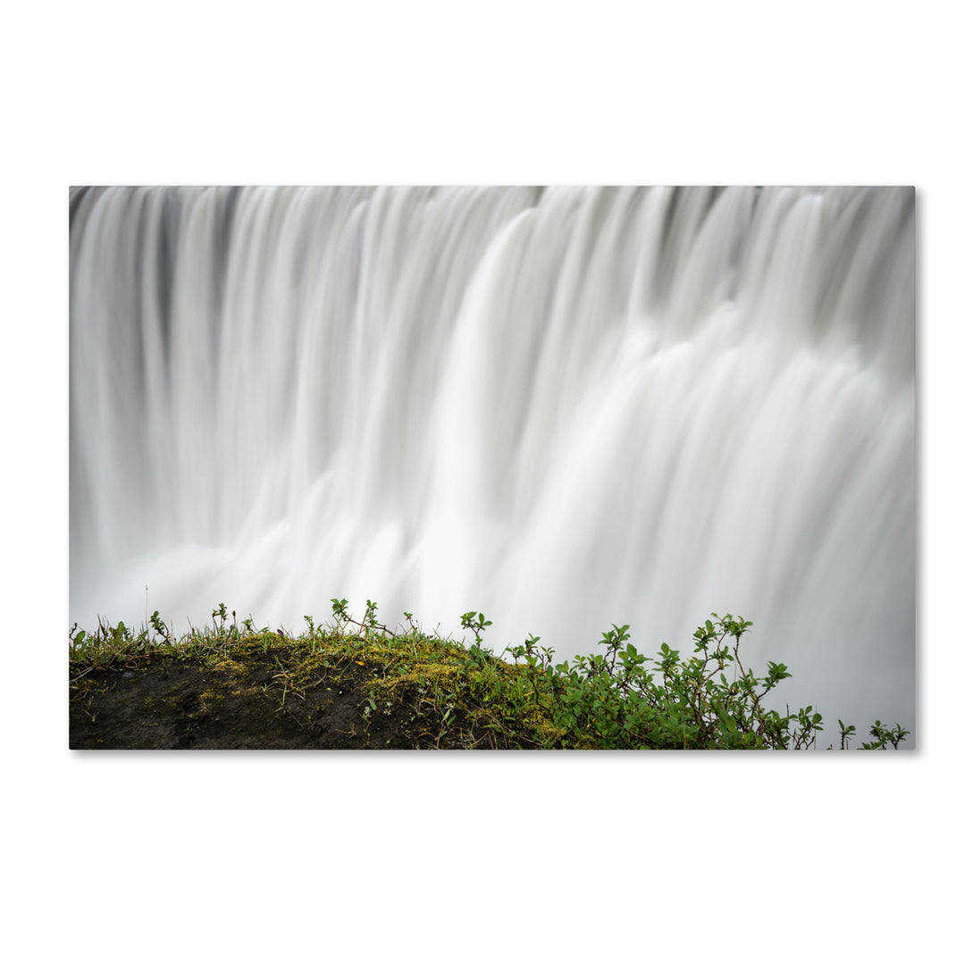 Philippe Sainte-Laudy Float Canvas Art 16 x 24 Image 1