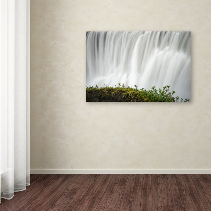 Philippe Sainte-Laudy Float Canvas Art 16 x 24 Image 3