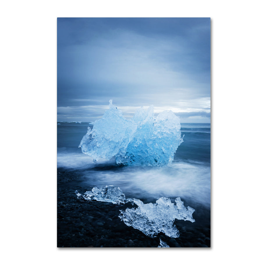 Philippe Sainte-Laudy Ice Jewelry Canvas Art 16 x 24 Image 1