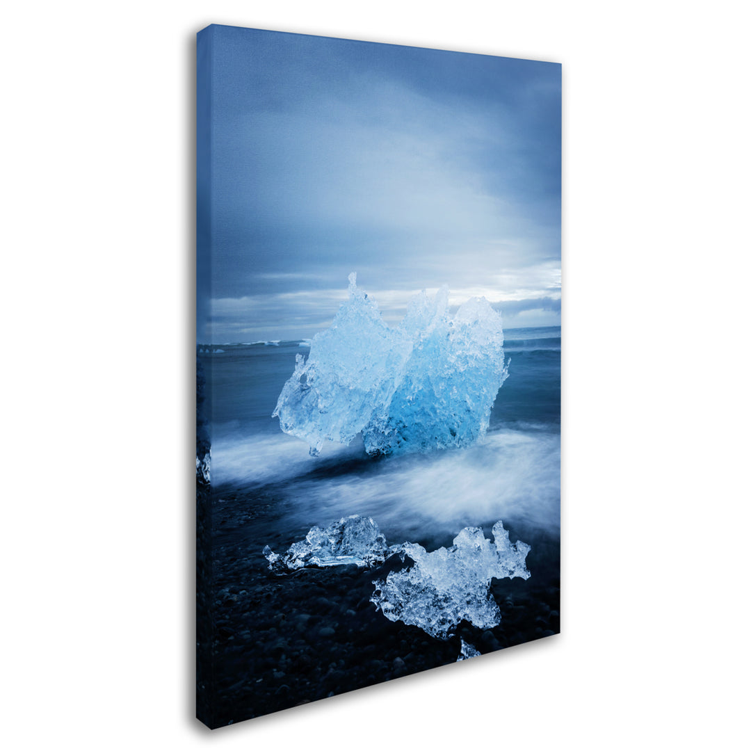 Philippe Sainte-Laudy Ice Jewelry Canvas Art 16 x 24 Image 2