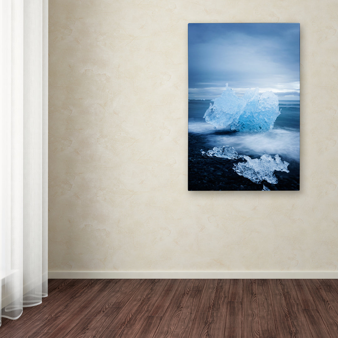 Philippe Sainte-Laudy Ice Jewelry Canvas Art 16 x 24 Image 3