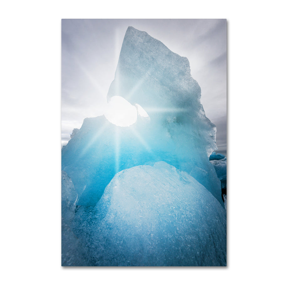 Philippe Sainte-Laudy Ice Show Canvas Art 16 x 24 Image 1