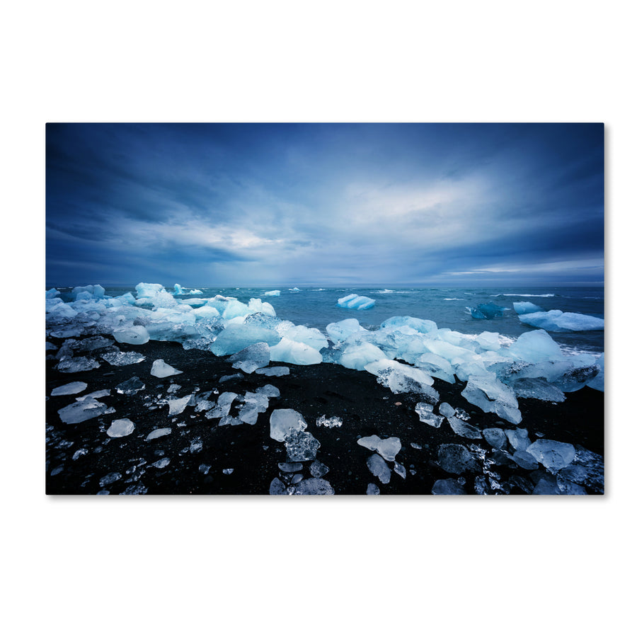 Philippe Sainte-Laudy Land of Ice Canvas Art 16 x 24 Image 1