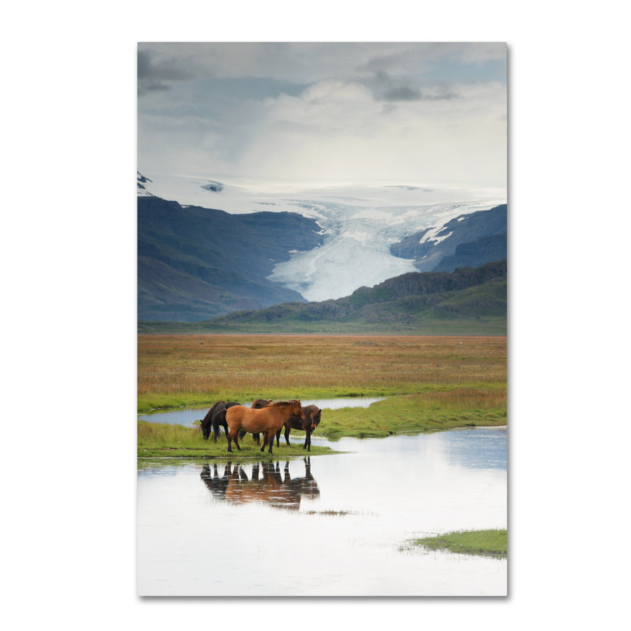 Philippe Sainte-Laudy The Meeting Point Canvas Art 16 x 24 Image 1