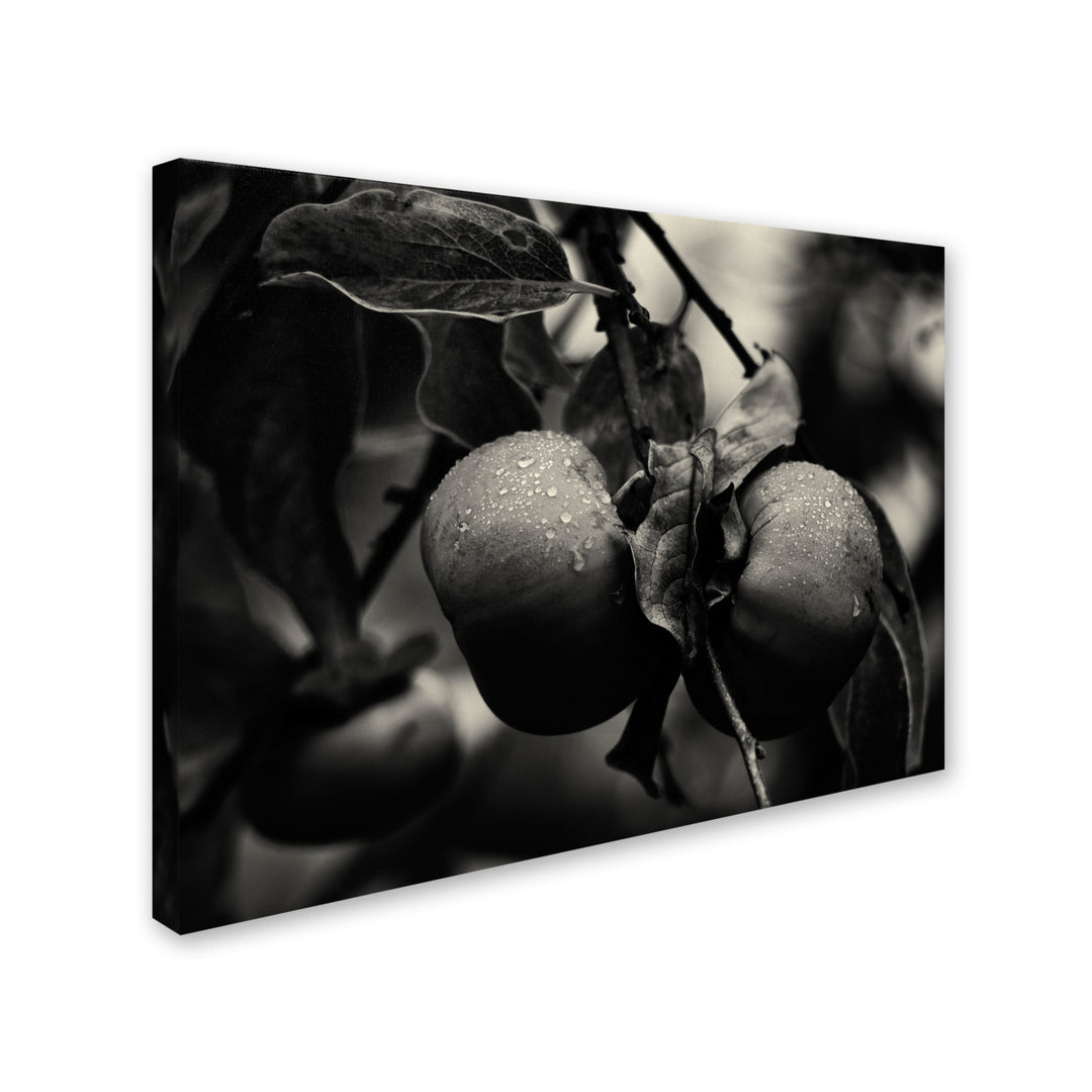 Geoffrey Ansel Agrons Three Persimmons in the Rain Canvas Image 2