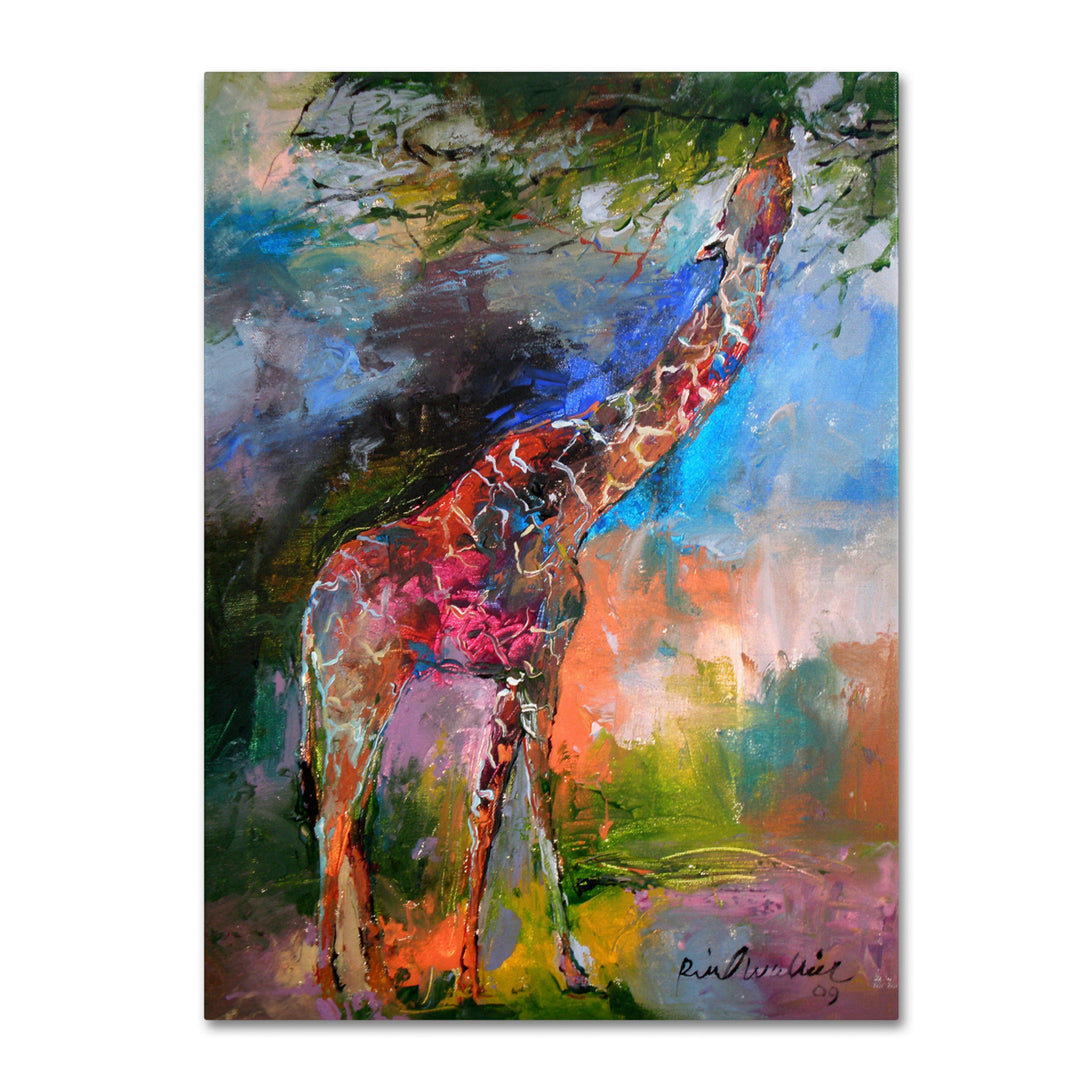 Richard Wallich Giraffe Canvas Art 18 x 24 Image 1