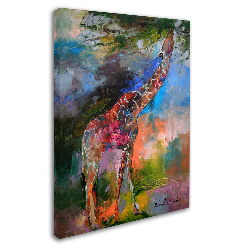 Richard Wallich Giraffe Canvas Art 18 x 24 Image 2