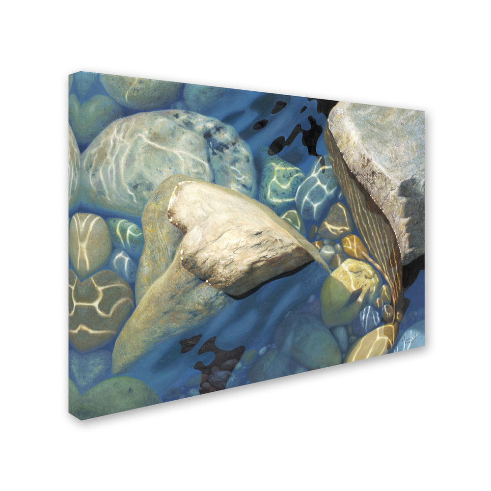 Stephen Stavast Blue Water Dance Canvas Art 18 x 24 Image 2