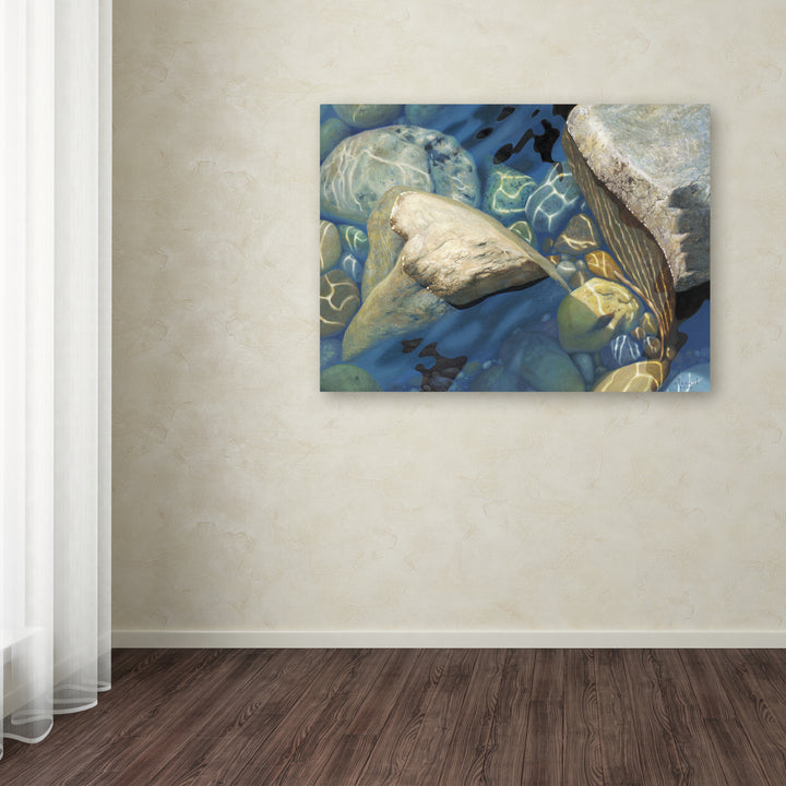 Stephen Stavast Blue Water Dance Canvas Art 18 x 24 Image 3