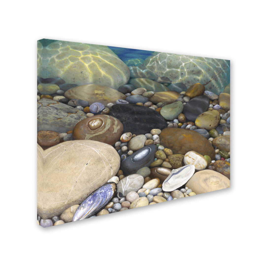 Stephen Stavast Shoreline Treasures Canvas Art 18 x 24 Image 2