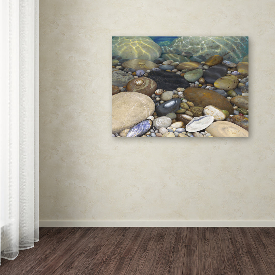 Stephen Stavast Shoreline Treasures Canvas Art 18 x 24 Image 3