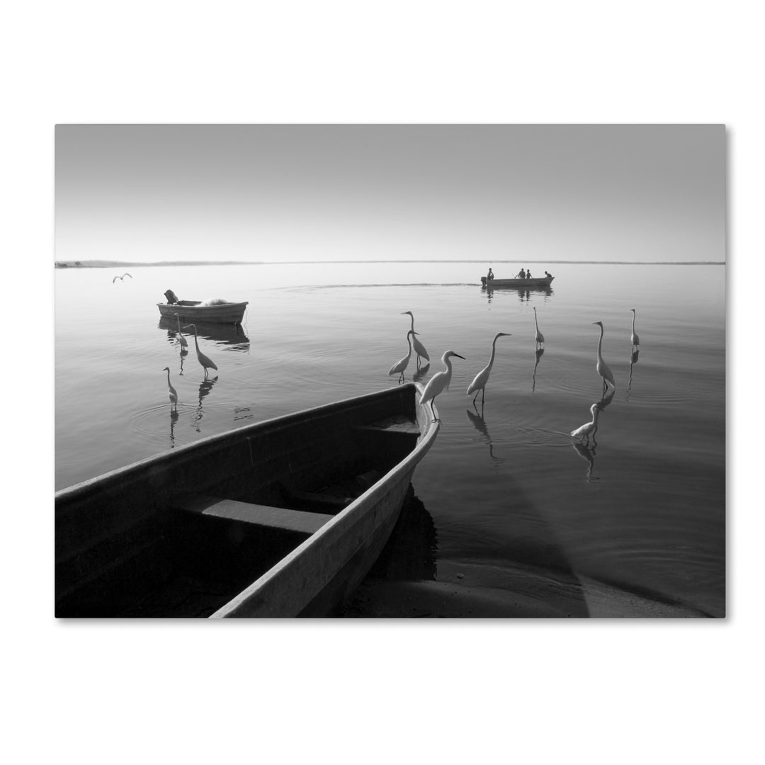 Moises Levy Herons and 3 Boats Canvas Art 18 x 24 Image 1