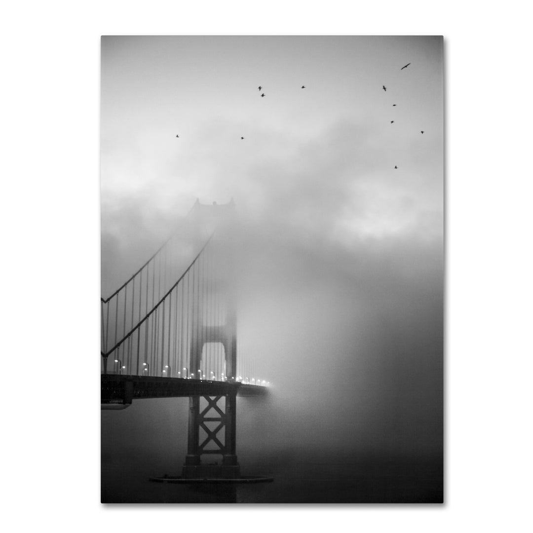 Moises Levy Golden Gate and Birds Canvas Art 18 x 24 Image 1