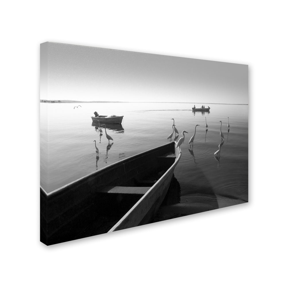 Moises Levy Herons and 3 Boats Canvas Art 18 x 24 Image 2