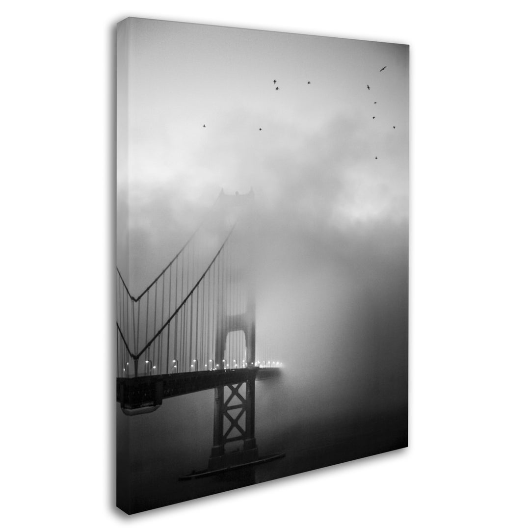 Moises Levy Golden Gate and Birds Canvas Art 18 x 24 Image 2