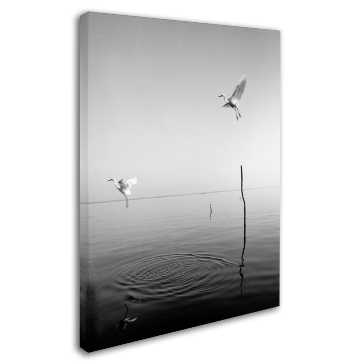 Moises Levy Flying Canvas Art 18 x 24 Image 2