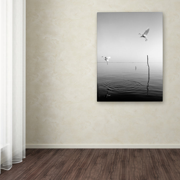 Moises Levy Flying Canvas Art 18 x 24 Image 3