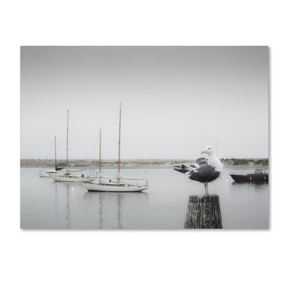 Moises Levy Four Boats and Seagull Canvas Art 18 x 24 Image 1