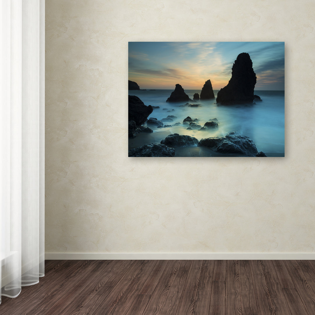 Moises Levy Rodeo Beach I Canvas Art 18 x 24 Image 3