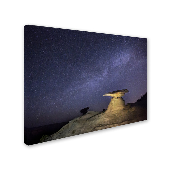 Moises Levy Starry Night in Arizona III Canvas Art 18 x 24 Image 2