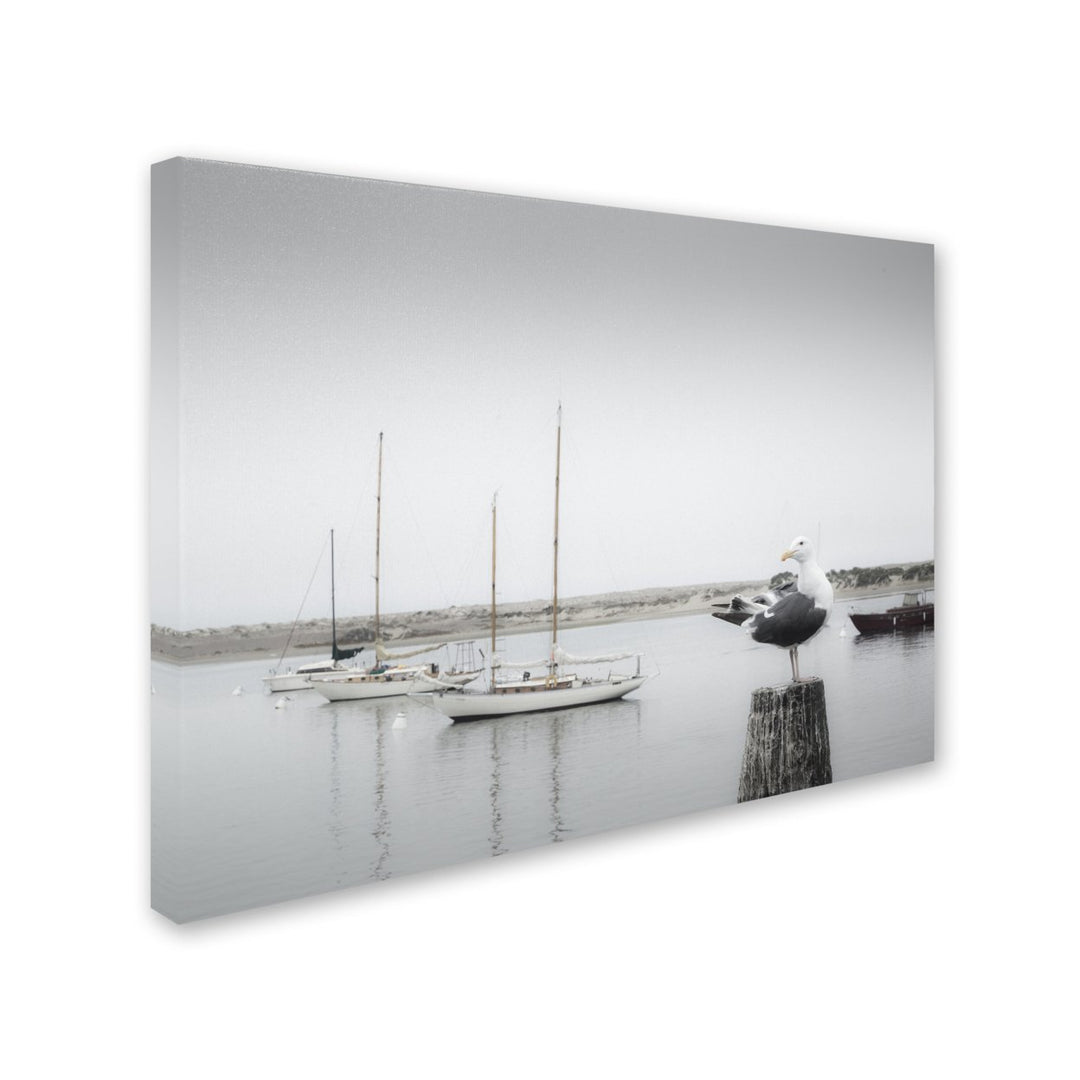 Moises Levy Four Boats and Seagull Canvas Art 18 x 24 Image 2