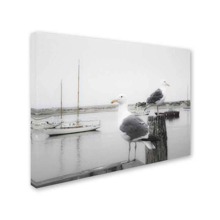 Moises Levy Two Seagulls and Boats Canvas Art 18 x 24 Image 2