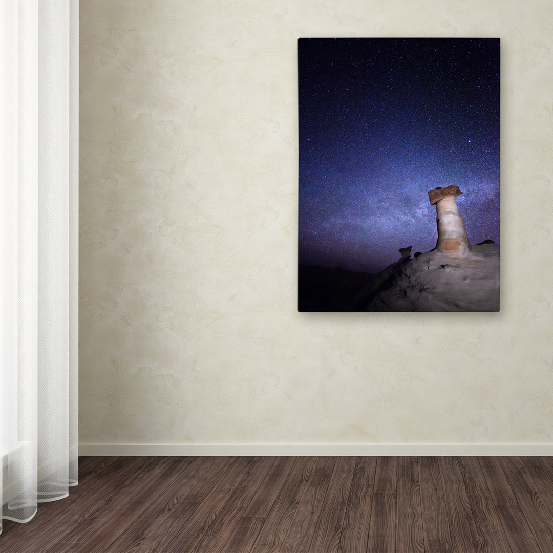 Moises Levy Starry Night in Arizona I Canvas Art 18 x 24 Image 3