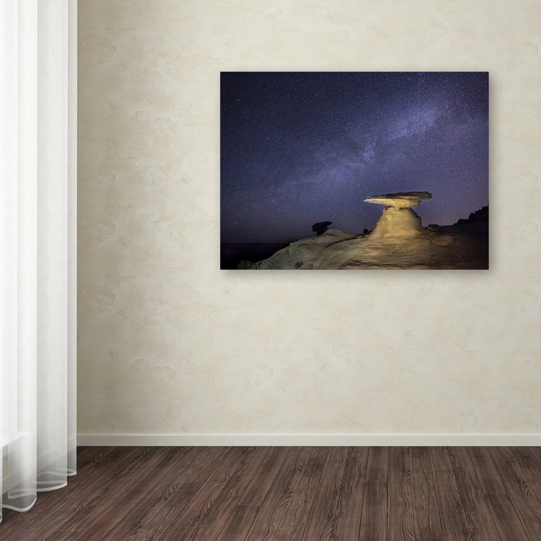 Moises Levy Starry Night in Arizona III Canvas Art 18 x 24 Image 3