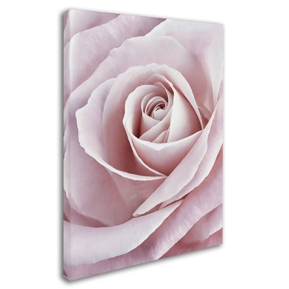 Cora Niele Pink Rose Canvas Art 18 x 24 Image 2