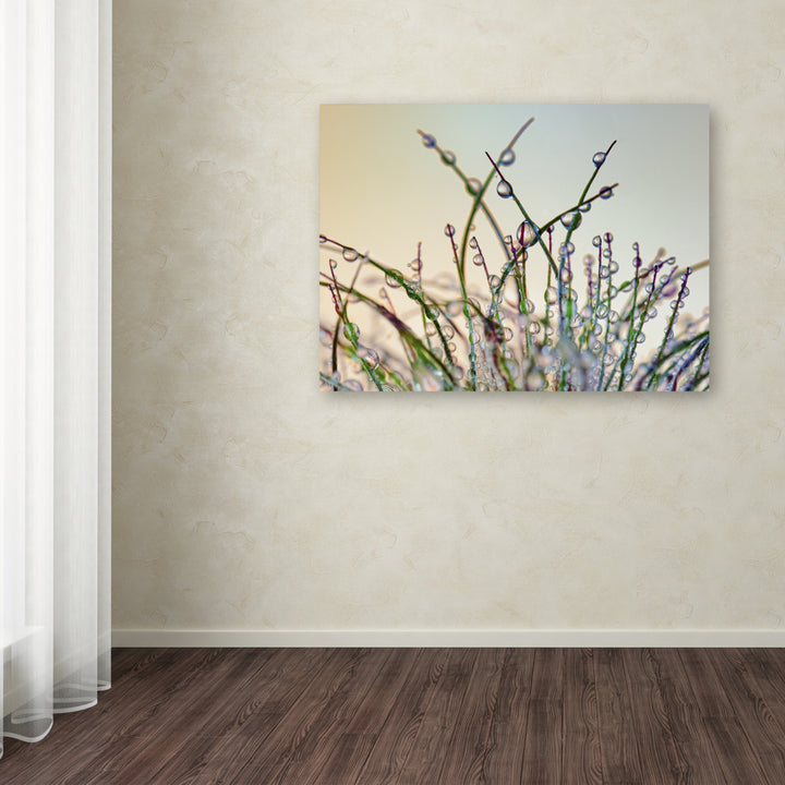 Cora Niele Dewy Grass Canvas Art 18 x 24 Image 3